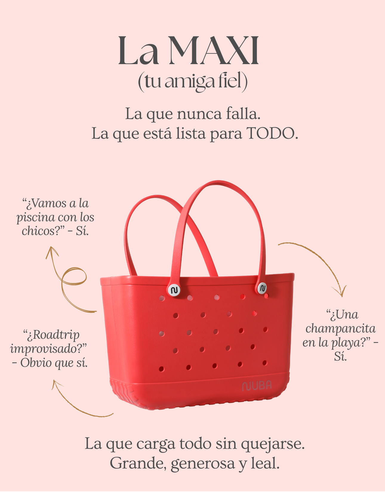 La Maxi • Precio de Oferta